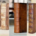 Abeillesreliurewp (4)