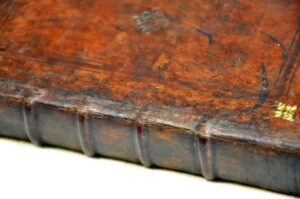 Détail de la restauration au niveau d'un des deux mors.