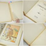 oreillecassée(Wp (3)