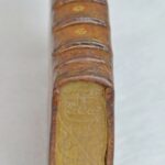 Oiseau becq 12 mp (Wp1280formatHD)