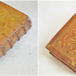 Oiseau becq 2 mp (Wp1280formatHD)