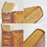 Oiseau becq 3 mp (Wp1280formatHD)