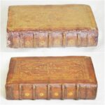 Oiseau becq 5 mp (Wp1280formatHD) Oiseau becq 5 mp (Wp1280formatHD)