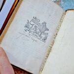 Oiseau becq 9 mp (Wp1280formatHD)