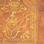 Oiseau becq 91 mp (Wp1280formatHD)