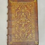 Oiseau becq 92 mp (Wp1280formatHD)